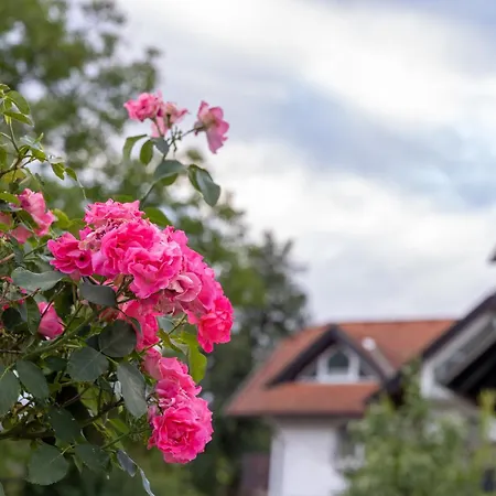 Oda ve Kahvaltı Hrominc Bled